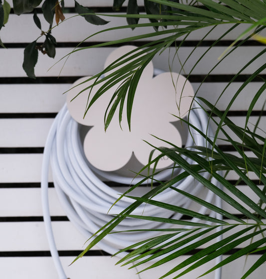 The Lotus and Bloom Duo