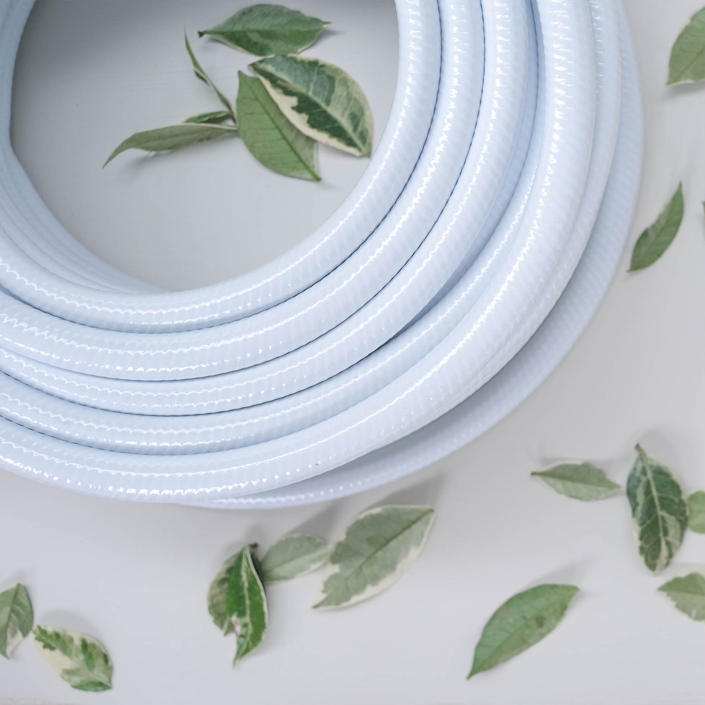 WHITE LOTUS HOSE
